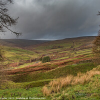 Buy canvas prints of Autumn Bright Interval in the Hudeshope, Teesdale (1) by Richard Laidler