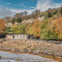 Buy canvas prints of Wain Wath Force, Swaledale, Yorkshire Dales by Richard Laidler