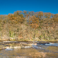 Buy canvas prints of Tees Cascade at Whorlton in late Autumn by Richard Laidler