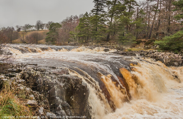 Low Force Waterfall, Teesdale, in Flood (2) Picture Board by Richard Laidler