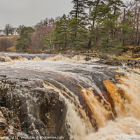 Buy canvas prints of Low Force Waterfall, Teesdale, in Flood (2) by Richard Laidler