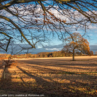 Buy canvas prints of Winter Sun and Shadows at Wycliffe by Richard Laidler