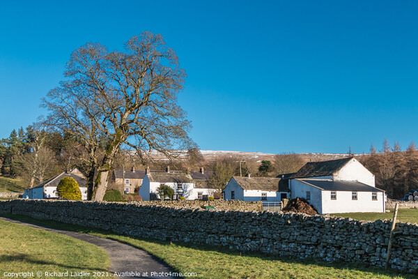 Winter Sun on Bowlees Farm, Teesdale Picture Board by Richard Laidler