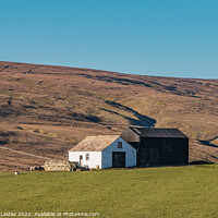 Buy canvas prints of Two Teesdale Barns by Richard Laidler