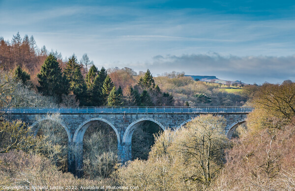 Cotherstone Viaduct Picture Board by Richard Laidler