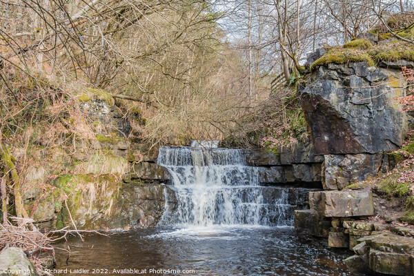 Bow Lee Beck Waterfall, Teesdale Picture Board by Richard Laidler