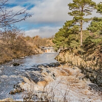 Buy canvas prints of Low Force Waterfall, Teesdale, in Late Winter Sunshine by Richard Laidler