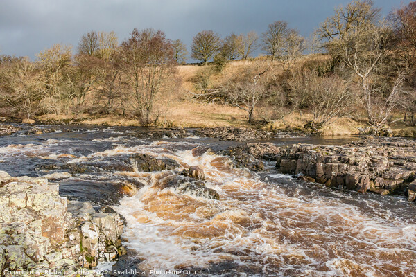 Bright Interval on the River Tees above Low Force Waterfall Picture Board by Richard Laidler