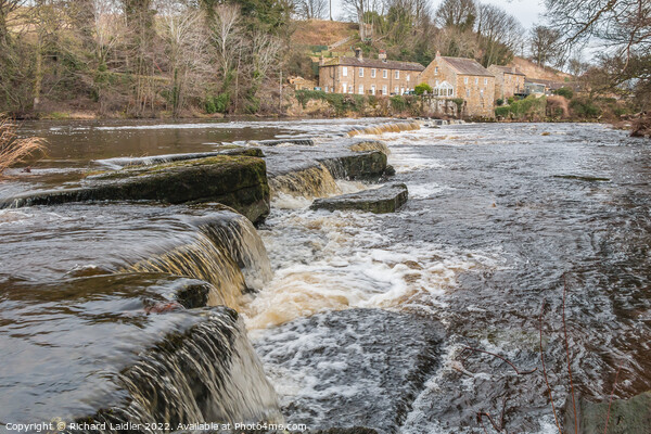 Demesnes Mill and the River Tees at Barnard Castle Picture Board by Richard Laidler