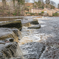Buy canvas prints of Demesnes Mill and the River Tees at Barnard Castle by Richard Laidler