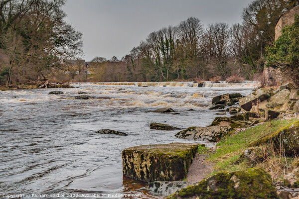 River Tees at Demesnes Mill, Barnard Castle Picture Board by Richard Laidler