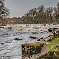 Buy canvas prints of River Tees at Demesnes Mill, Barnard Castle by Richard Laidler