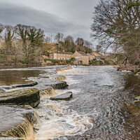 Buy canvas prints of Demesnes Mill and the River Tees at Barnard Castle  by Richard Laidler