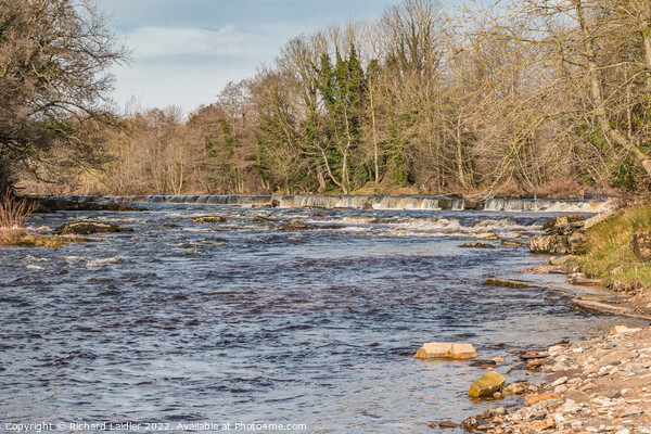 The River Tees at Demesnes Mill Barnard Castle Picture Board by Richard Laidler