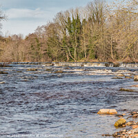 Buy canvas prints of The River Tees at Demesnes Mill Barnard Castle by Richard Laidler