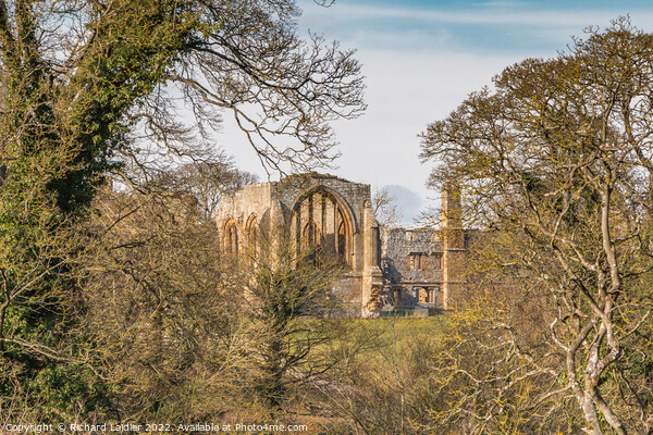Abbey Through the Trees Picture Board by Richard Laidler