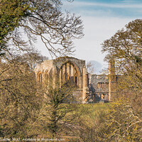 Buy canvas prints of Abbey Through the Trees by Richard Laidler