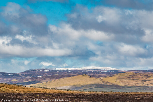 Cross Fell from Botany Farm, Teesdale Picture Board by Richard Laidler