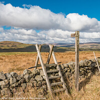 Buy canvas prints of Fingerpost and Ladder Stile by Richard Laidler