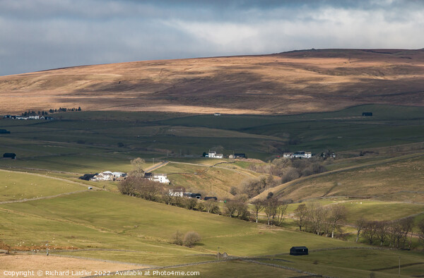 Ettersgill Farms from Holwick Fell, Teesdale Picture Board by Richard Laidler