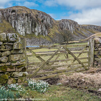Buy canvas prints of Holwick Scar, Teesdale (1) by Richard Laidler