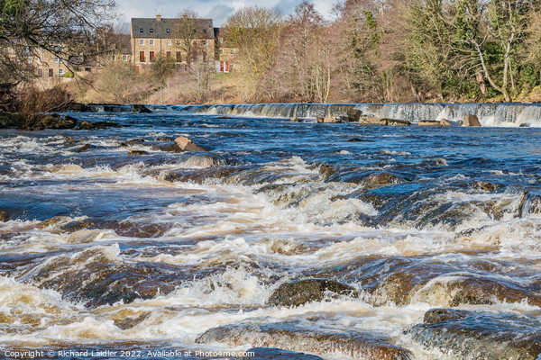 The River Tees at Demesnes Mill Barnard Castle Picture Board by Richard Laidler