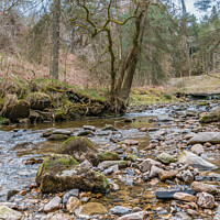 Buy canvas prints of Hudeshope Beck near Middleton in Teesdale (1) by Richard Laidler