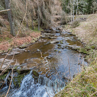 Buy canvas prints of Hudeshope Beck near Middleton in Teesdale (2) by Richard Laidler