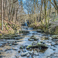 Buy canvas prints of Bow Lee Beck and Summerhill Force by Richard Laidler