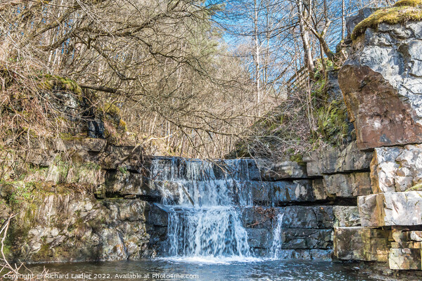 Bow Lee Beck Waterfall in Spring Sunshine Picture Board by Richard Laidler