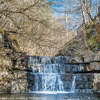 Buy canvas prints of Bow Lee Beck Waterfall in Spring Sunshine by Richard Laidler