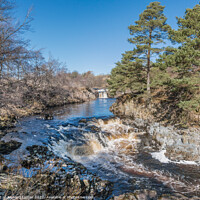 Buy canvas prints of Low Force Waterfall from the Pennine Way way at Wy by Richard Laidler