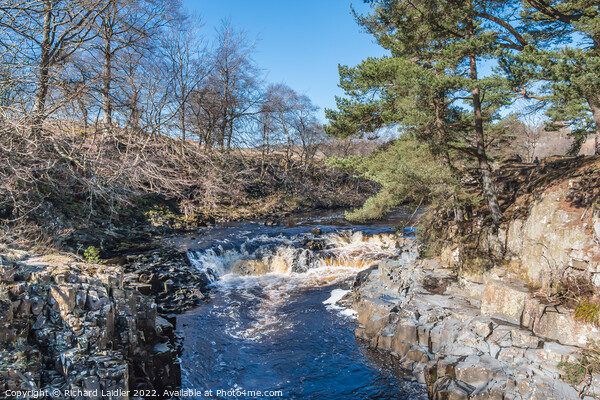Tees Cascade at Low Force from Wynch Bridge Picture Board by Richard Laidler