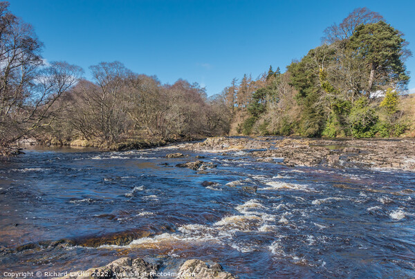 River Tees at Howgill Cottage,  Bowlees Picture Board by Richard Laidler