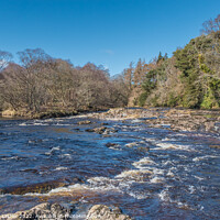 Buy canvas prints of River Tees at Howgill Cottage,  Bowlees by Richard Laidler