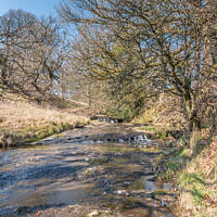 Buy canvas prints of Wilden Beck, Cotherstone, Teesdale by Richard Laidler