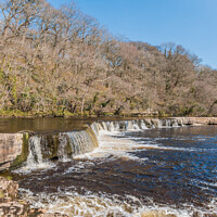 Buy canvas prints of Whorlton Cascades in Spring Sun by Richard Laidler
