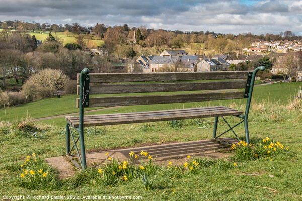 Over to Startforth from the Demesnes, Barnard Castle Picture Board by Richard Laidler