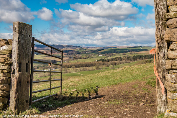 Gateway to Upper Teesdale Picture Board by Richard Laidler