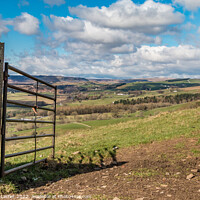 Buy canvas prints of Gateway to Upper Teesdale by Richard Laidler