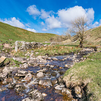 Buy canvas prints of Ettersgill Beck at Birch Bush Farm, Teesdale (1) by Richard Laidler