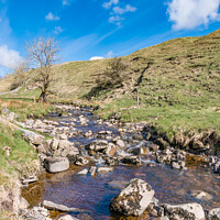 Buy canvas prints of Ettersgill Beck at Birch Bush Farm, Teesdale (2) by Richard Laidler