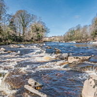 Buy canvas prints of Early Spring Morning on the River Tees at Barnard Castle  by Richard Laidler