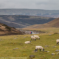 Buy canvas prints of Heading for Cauldron Snout on the Pennine Way, Teesdale by Richard Laidler