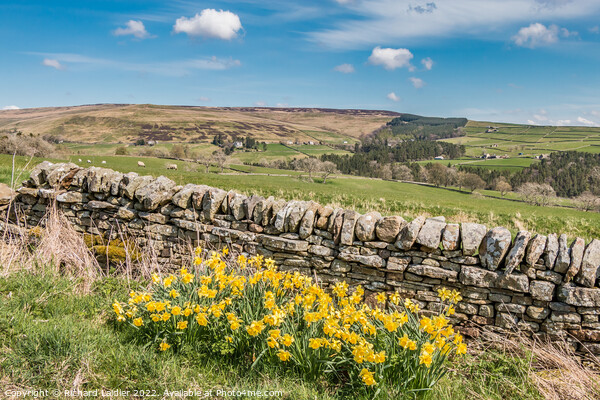 Towards Snaisgill from Aukside, Teesdale Picture Board by Richard Laidler