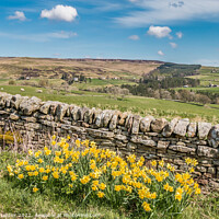 Buy canvas prints of Towards Snaisgill from Aukside, Teesdale by Richard Laidler