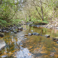 Buy canvas prints of Deepdale Beck at Barnard Castle, Teesdale in Spring by Richard Laidler