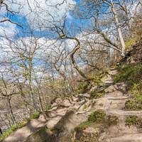 Buy canvas prints of A Steep Bit on the Teesdale Way near Barnard Castle by Richard Laidler