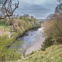 Buy canvas prints of Towards Cotherstone from Cotherstone Crag, Teesdale by Richard Laidler