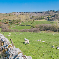 Buy canvas prints of Clints Scar and Orgate Farm from Skelton Lane by Richard Laidler
